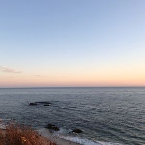 Meet your Posher, Sophia